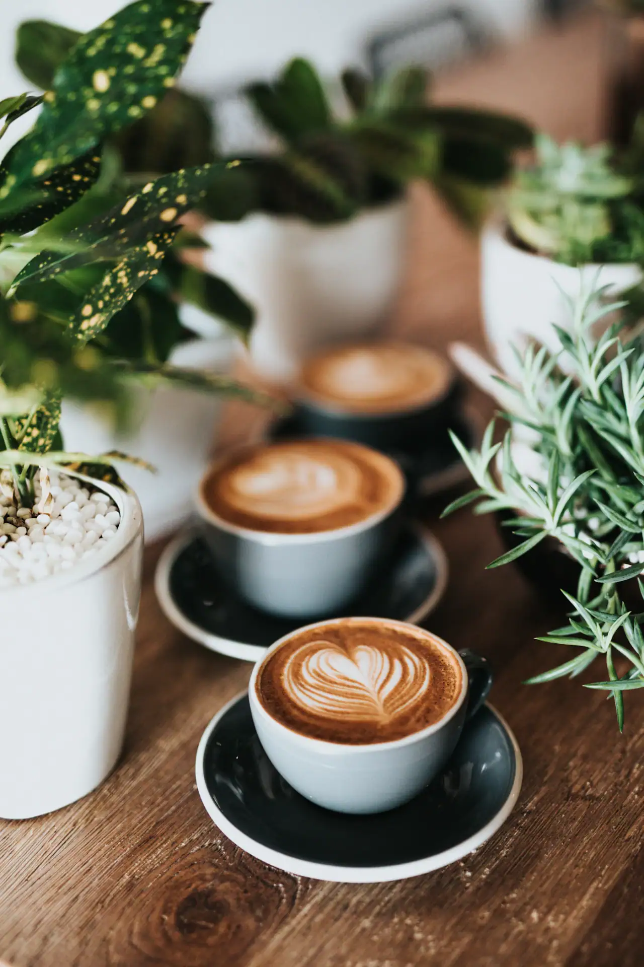 Brunch restaurant photography